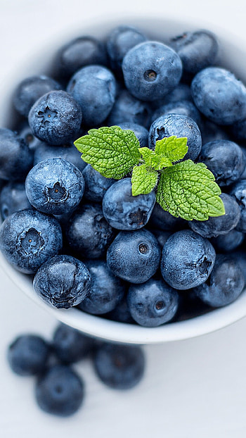 Blueberry for , Mobile-friendly design, excellence HD phone wallpaper