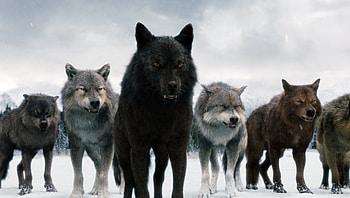 Twilight saga discovery, Enchanting plot twists, Supernatural secrets, Mesopotamian goddess HD wallpaper