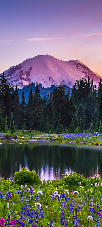 USA, lake, landscape, nature HD phone wallpaper