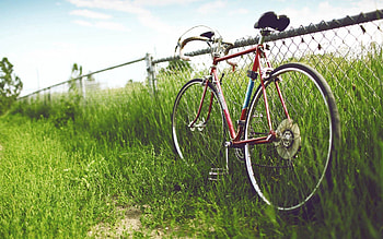 Grass, Miscellanea, Miscellaneous, Street, Bicycle HD wallpaper