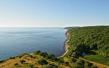 Danish coast, Sea and forest, Nature's wonders, Coastal serenity HD wallpaper