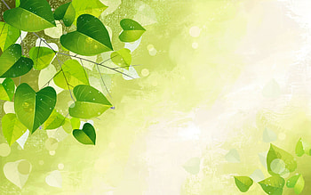 Creative leaf designs, variety HD wallpaper