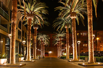 San Jose, California, Travels HD wallpaper