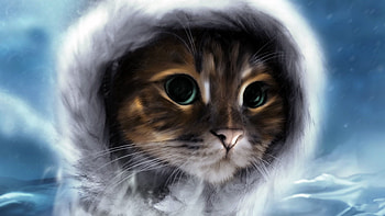 Animals, Cat, Muzzle, Paint, , Drawing, Fur HD wallpaper