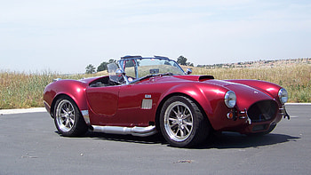 1967 Shelby Cobra 427, snake, 12, 2011, car, 10 HD wallpaper