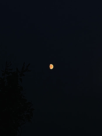 moon, sky HD phone wallpaper