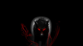 evil wolf evil wolf . HD wallpaper