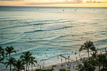Future hotel bookings, Tourist demand, Long-term reservations, Hawaii hospitality HD wallpaper