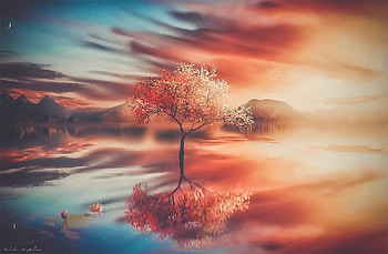 Trees Fantasy Art, trees, fantasy, artwork, digital-art HD wallpaper
