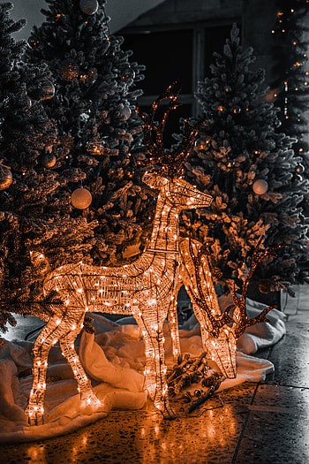 Holidays, New Year, Fir-Trees, Deers, Christmas, Holiday, Garland, Decoration, Garlands HD phone wallpaper