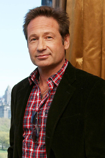 David Duchovny, Secret divorce, Celebrity news HD phone wallpaper