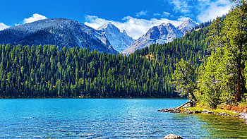 Grand Tetons over Bradley Lake, Wyoming, trees, clouds, USA, landscape, sky, forest, mountains HD wallpaper