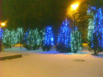 happy winter, winter, nature, cristmas, snow HD wallpaper
