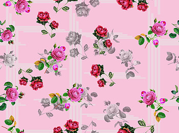 Texture, rose, pink, flower, eon the art studio, paper, pattern HD wallpaper