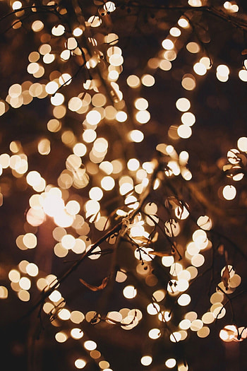 Gold lights, White Christmas, Twinkling glow, Holiday spirit HD phone wallpaper
