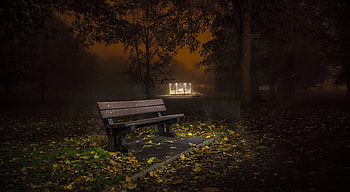 Night, , Bench, Fall, Light, Park HD wallpaper