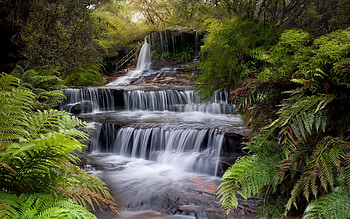 Stairway to Heaven, waterfall, nature, Australia, fern HD wallpaper