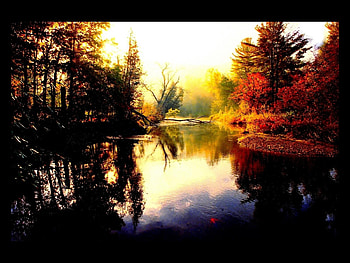 A Morning In Vermont, autum, water, sun, forest, lake, tree HD wallpaper