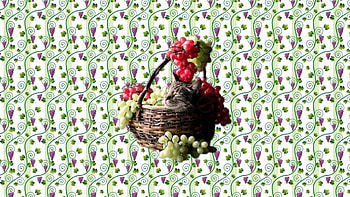 Grape harvest & cat nap, basket, cat, nature, grapefruit HD wallpaper