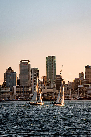 Cities, Water, City, Building, Skyscrapers, Sailfish, Sailboat HD phone wallpaper