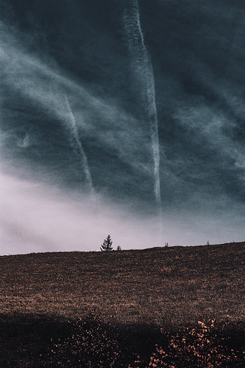 Nature, Grass, Sky, Clouds, Horizon, Wood, Tree, Field HD phone wallpaper