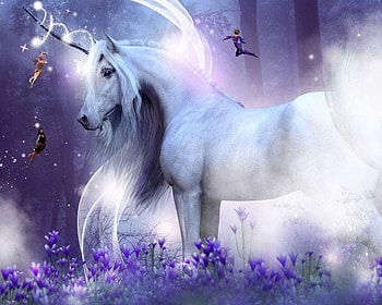 Unicorn, fairy, purple, moon, fantasy HD wallpaper
