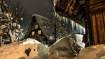 Winter Village in Japan, night, trees, frosty, snow HD wallpaper