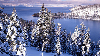 Lake Tahoe, Winter , Snowy landscapes, Holiday season HD wallpaper