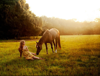 Beauties and the horse, fields, horse, nature, woman HD wallpaper