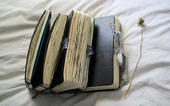 Books, Flower, Plant, Miscellanea, Miscellaneous, Tape, Mood, Sheets, Floweret, Moods, Page, Ribbon, Pages, Diary HD wallpaper