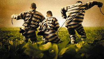 O Brother, Where Art Thou? (2022) movie HD wallpaper