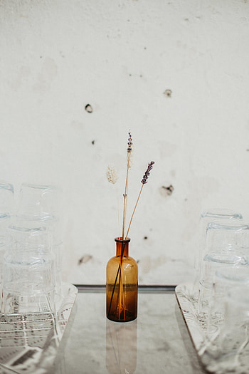 Miscellanea, Miscellaneous, Glass, Ears, Vase, Spikes HD phone wallpaper