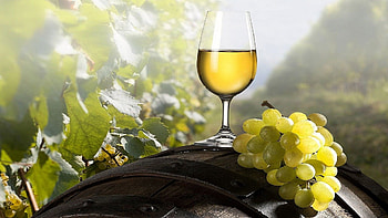 White wine, Top backgrounds, Wineglass HD wallpaper