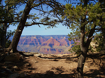 View on Canyon, trees, mountains, field, canyon HD wallpaper