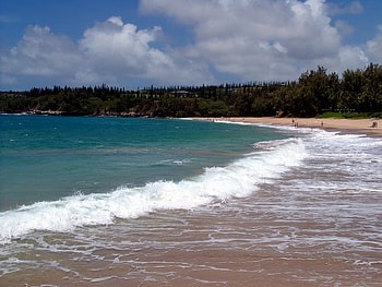 Fleming Beach, trees, sky, ocean, beach HD wallpaper