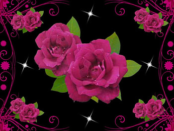 Roses for you, valentine roses, Roses for love, flowescape, flowers for you HD wallpaper
