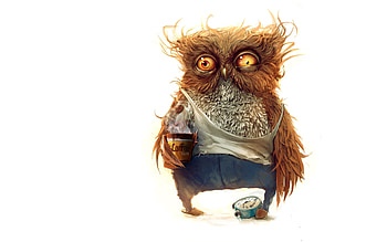 Funny, Animals, Owl HD wallpaper