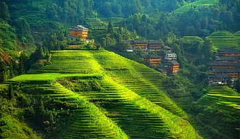 Banaue Rice Terraces, Vibrant , Sarah Tremblay's post HD wallpaper