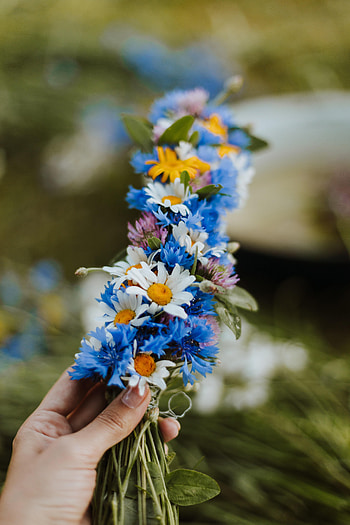 Flowers, Fantasy, Camomile, Hand, Braiding, Weaving, Cornflower HD phone wallpaper
