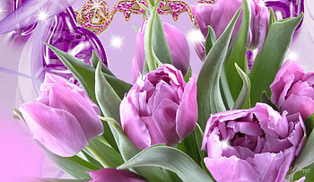 Amethyst Tulips, purple, firefox persona, bright, floral, flowers, stars, spring, flora HD wallpaper