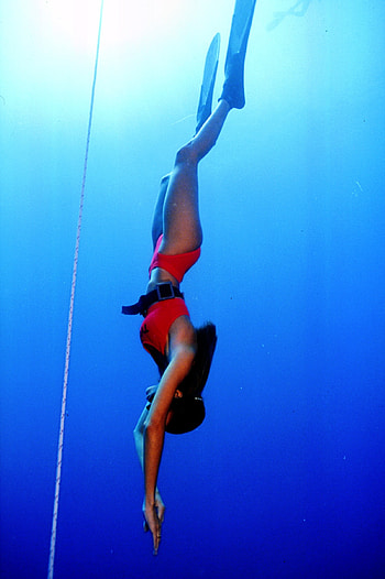 diving, Diving HD phone wallpaper