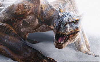 Fantasy, Dragons, Snow HD wallpaper
