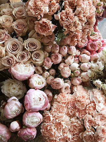 A beautiful collection of pastel pink peonies, roses, and carnations in a floral arrangement. HD phone wallpaper