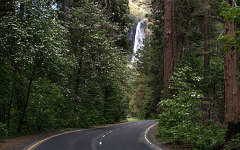 Bridalveil Falls, Yosemite Nat'l. Park, California, valley, waterfall, cottonwood, nature, usa HD wallpaper