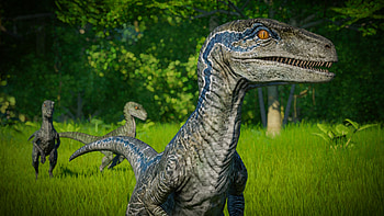 Jurassic World Evolution, Velociraptor aspect collection, Video game, Captivating gameplay HD wallpaper