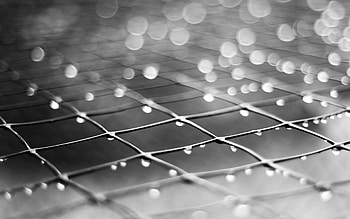 Nature rain drops water black white steel metal fence pattern square graphy sparkle | | 26623 | UP HD wallpaper
