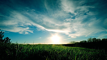Landscape, Grass, Sky HD wallpaper