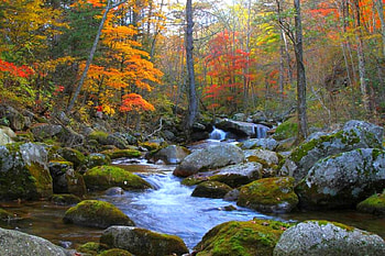 Cool Stream, cool, beautiful, , stream HD wallpaper