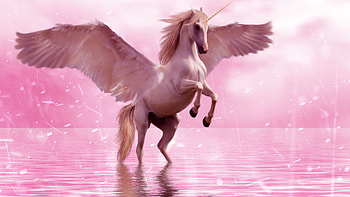 Pegasus unicorn with wings, U TV , Horse creature, Mythical beauty HD wallpaper