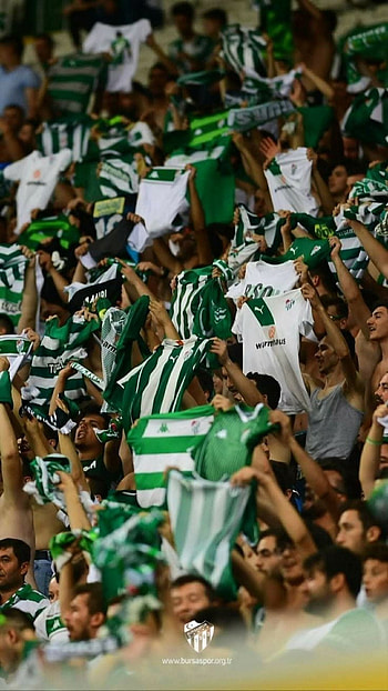 Bursaspor taraftarı, taraftar HD phone wallpaper